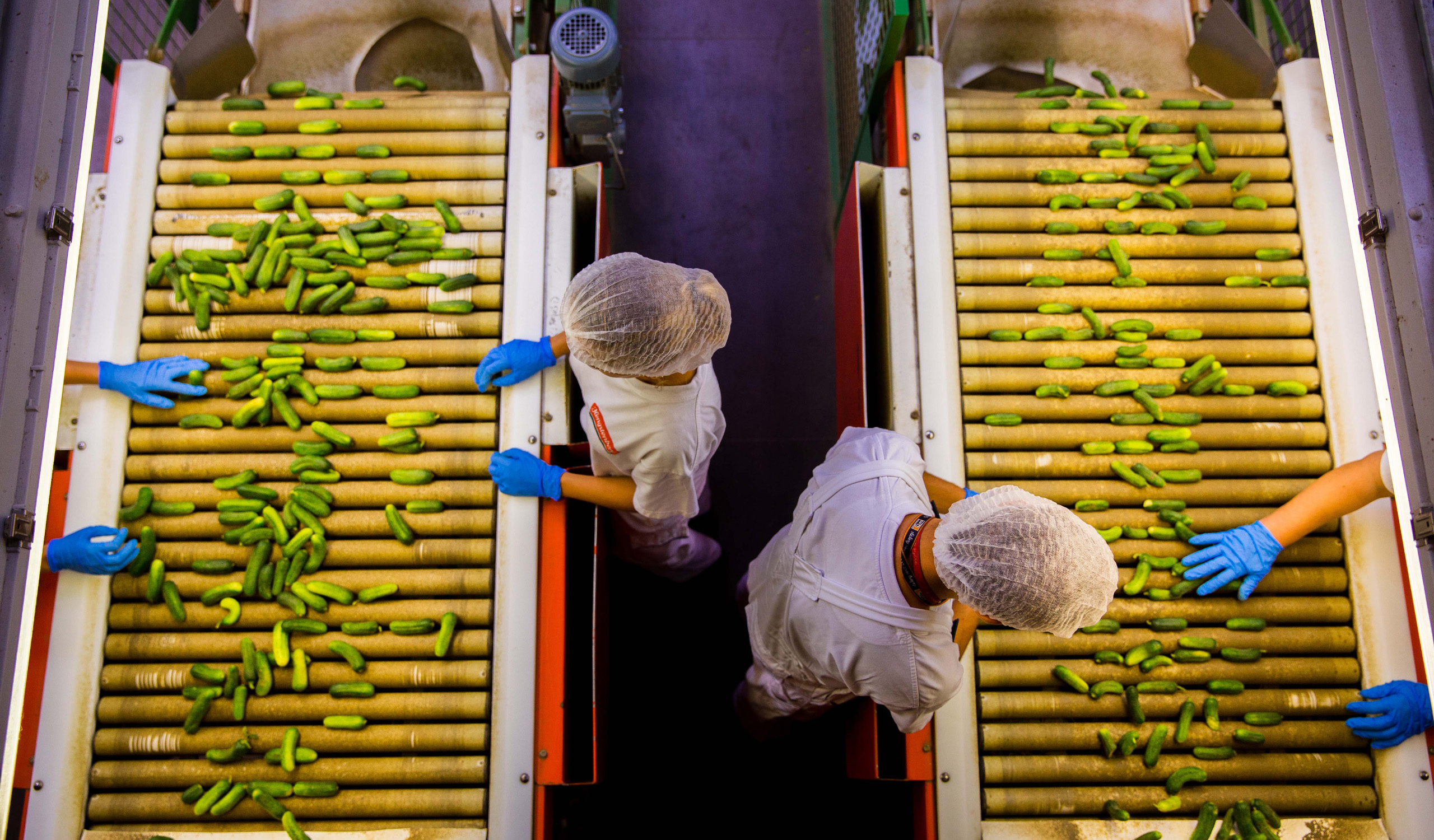 Hengstenberg Fließband